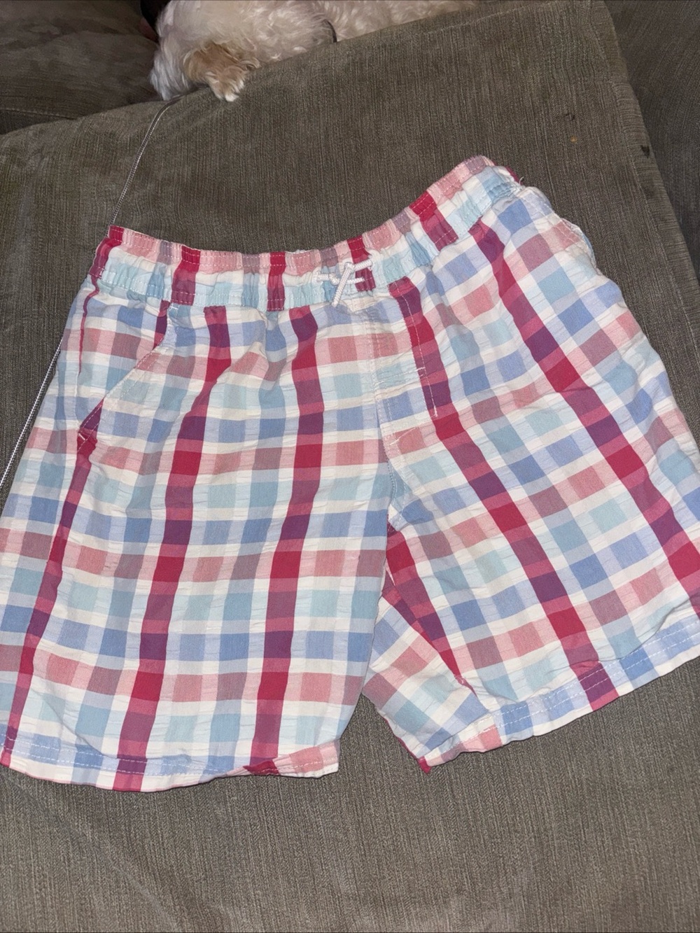 Boys Plaid Pull-On swimsuit- Red, Blue & White large